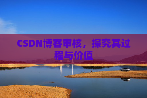 CSDN博客审核，探究其过程与价值